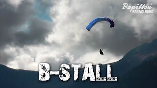 Papillon Lehrvideo: B-Stall