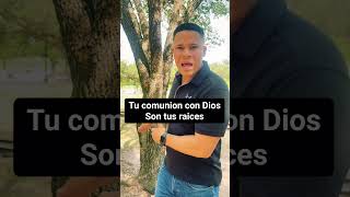 Tu comunión con Dios son tus raíces #shorts