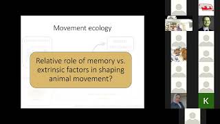 Ecology and conservation of ungulate movement and migration