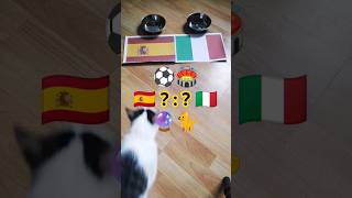 Spain vs Italy. who will win? Cat Oracle predicts match result