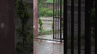 Rain | Vocabulary about Rain | Rainy weather | slight Rain Vs Heavy Rain| Ft Mahid Ali