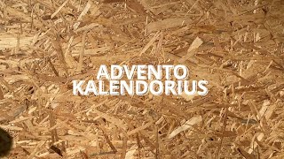 Advento kalendorius – 20 diena | 2021-12-17