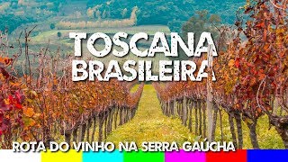 Serra Gaúcha - Rota do Vinho em Bento Gonçalves e Vale dos Vinhedos