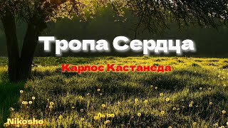 Четыре врага на пути учения. Тропа Сердца. Карлос Кастанеда