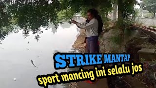 Mancing Lele Di Sungai Strike Ikan Babon Di sport Ini Nggak Ada Habisnya Selalu Ada Terus