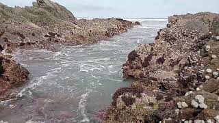 Ocean Waves Serene Moments by the Shore