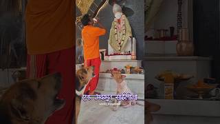 एक अनोखा चमत्कार #youtubevideo #youtubeshorts #youtuber #viralvideo #sairam #shirdi #shirdisaibaba