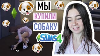 Мы купили СОБАКУ!!! |  Выпуск 10 |  Симс 4 | CUTERLAND