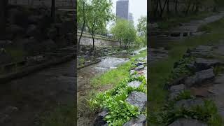 The beautiful Cheonggyecheon Stream in Seoul