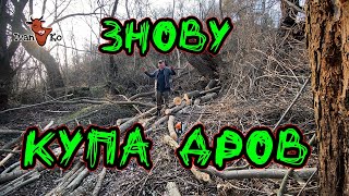 STIHL пиляє мої дрова 🪓вербові. Обрізаю верби. ✌😁 #ІванКо #IvanKo #Ivan&Сompany