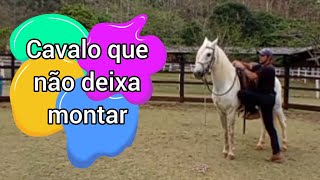 Cavalo que não deixa montar