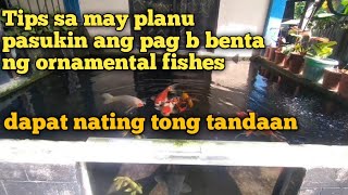 Dapat alam mo to bago mo pasukin ang pag bebenta ng ornamental fishes