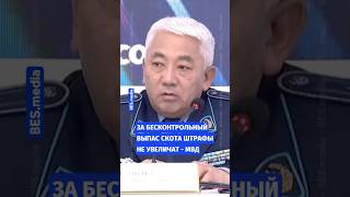 🐮За бесконтрольный выпас скота штраф не увеличат – МВД