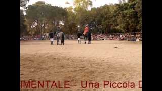 Arte Equestre Rinascimentale - FESTA DEL PRIMO MAGGIO 2013