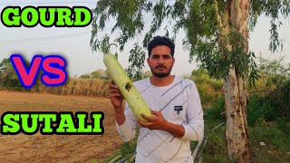 Gourd vs sutali || Most Amazing Experiment | Gourd Experiment Video 2023 | Bharu Ke Experiment