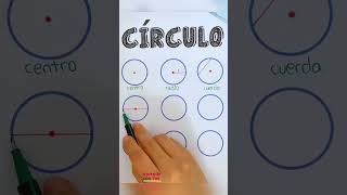 Partes del círculo🟡