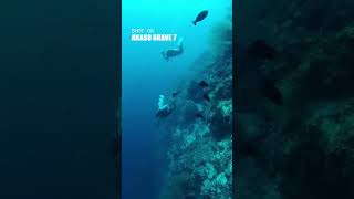 Diving in my dream divesite with Akaso Brave 7 #scubadiving #scuba #diver