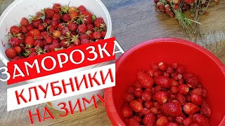 КАК ЗАМОРОЗИТЬ КЛУБНИКУ Самый Лёгкий Рецепт