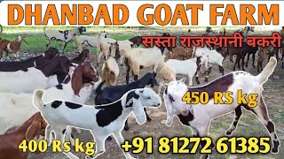 DHANBAD GOAT FARM JHARKHAND +91 81272 61385 NEW LOT'S FOR SALE HOME DELIVERY FREE.. for local