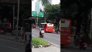 BUS MANIA @trans77jakarta70