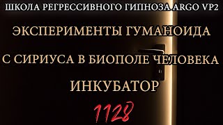 Эксперименты гуманоида с Сириуса в биополе | Инкубатор | @ARGOVP2