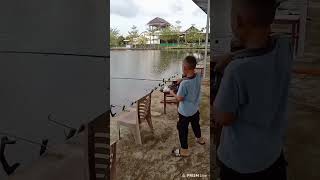 mancing mania bocil piranha indo