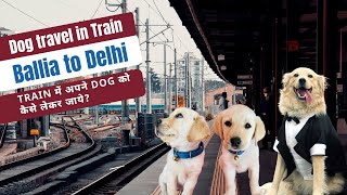 Dog travel in Train | Ballia to Delhi | How to book train ticket for your Dog | Loknayak Exp. DogBOX