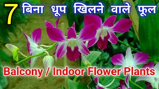 7 बिना धूप खिलने वाले फूल - Indoor Flower Plants That's Grow Without Sunlight - Flowers Name