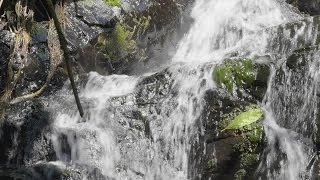 Ao Yon Waterfall Phuket Thailand HD & Time Lapse