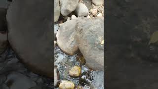 Nature pebbles and lovely stones with water || Shivamayam Journey With Shiva ||