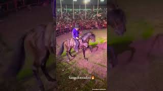 Un poquito más de la madrugada de ayer en #Zacazonapan al ritmo de SANGOLOTEADITO🐎