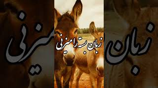 خندا دار ترین داستان که تا به حال شنیدی😂😂😂😂😂 : معروف ترین حکایت ملا نصرالدین#short  #shorts