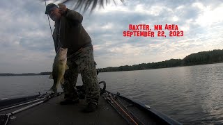 Fall Largemouth - Baxter, MN