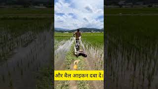 amazing paddy farming machinery #futurefarming #shortvideo #agriculture