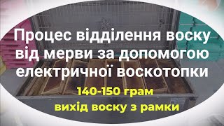 Процес відділення воску від мерви за допомогою електричної воскотопки. 140-150 грам воску з рамки