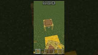 Minecraft tik tok hack #minecraft #viral #shorts