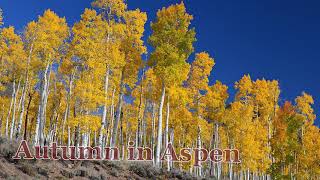 LEAF Tree Facts - Aspen