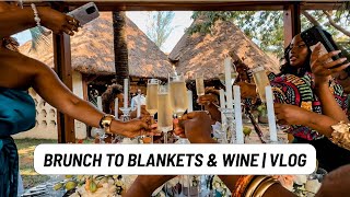 Brunch to Blankets & Wine | Vlog.