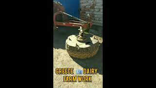 Greece country 🇬🇷  Dairy Farm  work 😍😊  #shorts #viral #short #trending