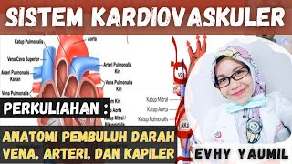 SISTEM KARDIOVASKULER (ANATOMI PEMBULUH DARAH VENA, ARTERI, DAN KAPILER)