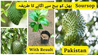 How To Grow Soursop Fruit From Seed | Rare Garden