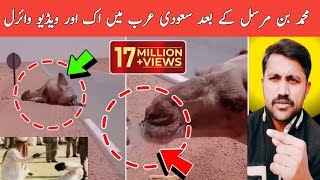 Saudi Arabia Recent Viral Video | Saudi Truck Driver Video With Camel | Asghar Tv