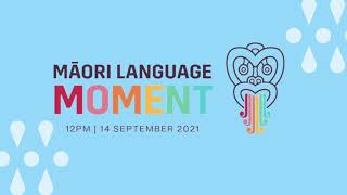 Maori Language Moment