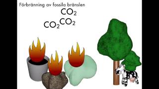 Förbränning av fossila & förnyelsebara bränslen