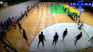 Puerto Rico vs United States / Cloth Mixed / Dodgeball World Championships 2024