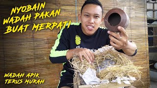 NYOBAIN WADAH PAKAN MERPATI DARI GERABAH | ASLI KLATEN