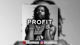 [FREE] Lil Baby x Nardo Wick Type Beat - "Profit"