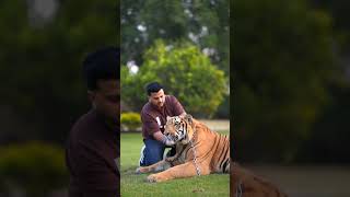 Sitting with Beautiful Bengal Tiger | Nouman Hassan |