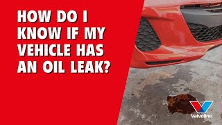 How do I KNOW if my VEHICLE has an OIL LEAK | A QUICK Guide for CAR Owners | ASK ALISTAIR