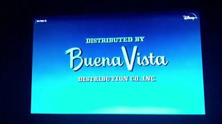 Buena Vista Distribution Co., Inc. (1973)